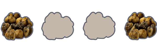 Fadiman Protocol - Microdosing