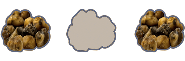 Every other day protocol - Microdosing