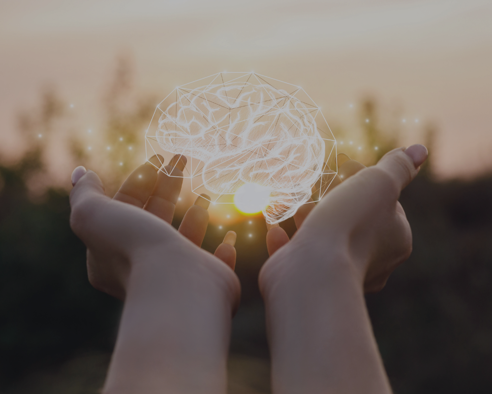 Microdosing Essentials & Contraindicaties